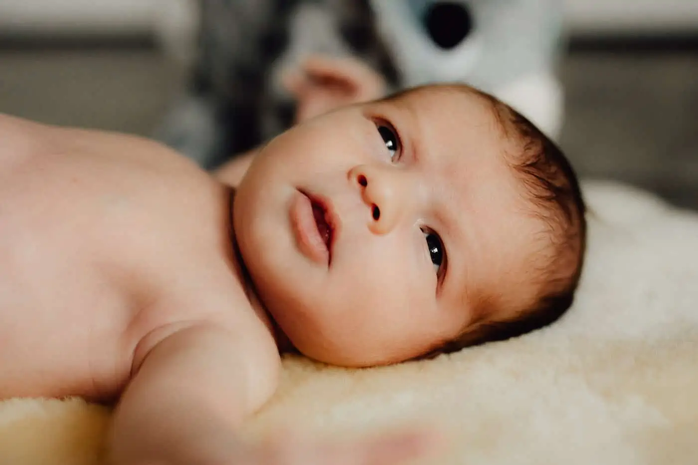 Familienfotograf Saarland und Pfalz - Andreas Heu - Newborn Shooting Homestory
